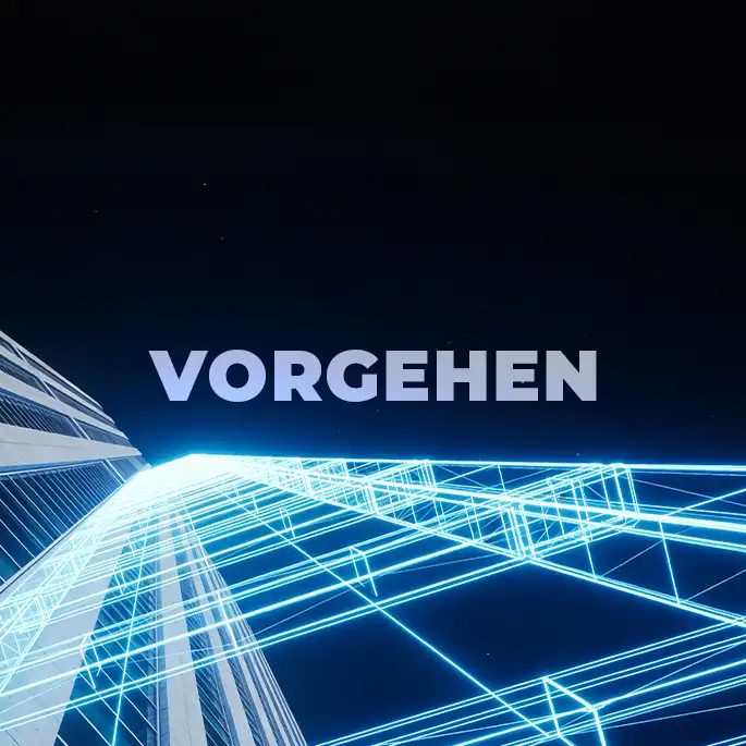 Vorgehensweise